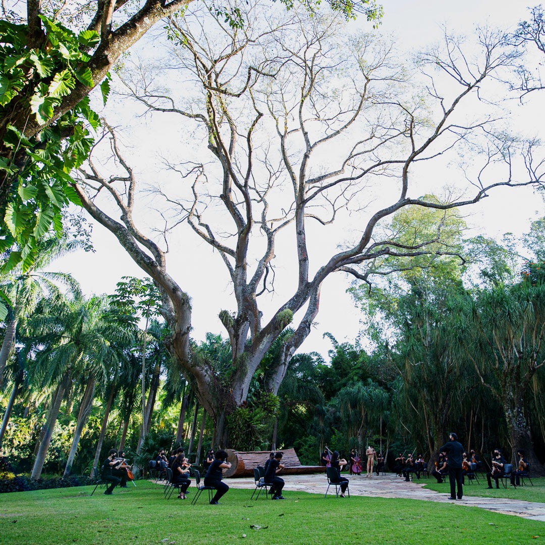 Orquestra de Câmara Inhotim é uma das atrações da programação da Semana do Meio Ambiente. Foto: Brendon Campos