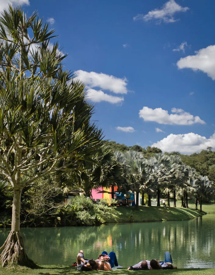 Become part of a community connected to art, nature, architecture, and unique experiences at Instituto Inhotim