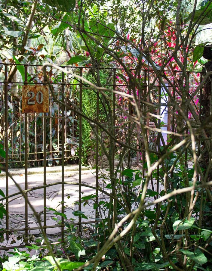 O endereço do Inhotim é Rua B, 20. Já reparou nesse numeral presente na alameda, logo após o Café das Flores? Essa era a entrada da antiga fazenda, antes do Inhotim ser concebido. Foto: William Gomes