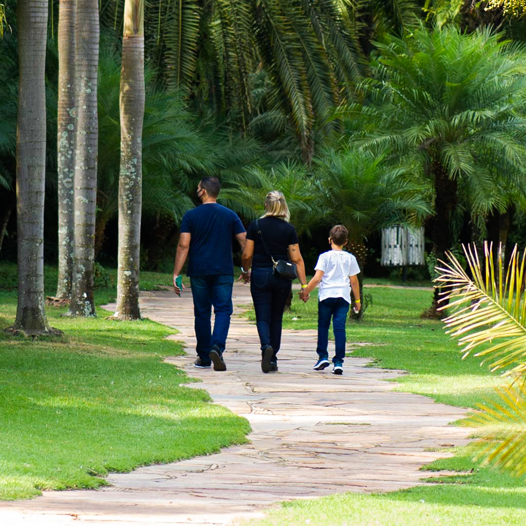 A programação traz a primeira edição de 2021 do Espaço Ciência Inhotim e visitas temáticas que mesclam botânica e arte  Foto: Brendon Campos