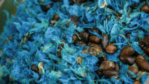 inhotim podcast deslocamentos arvore viajante Joao Marcos Rosa Nitro-(8)