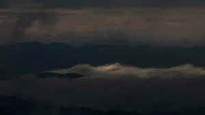 inhotim podcast horizontes brumas foto Joao Marcos Rosa Nitro-(10)