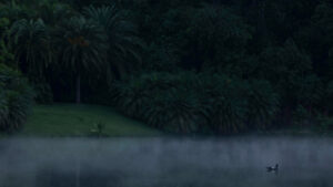 inhotim podcast horizontes brumas foto Joao Marcos Rosa Nitro-(8)