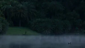 inhotim podcast horizontes brumas foto Joao Marcos Rosa Nitro-(8)