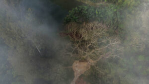 inhotim podcast horizontes brumas foto arquivo inhotim