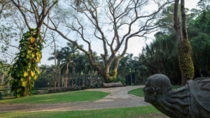 inhotim podcast territorio tamboril