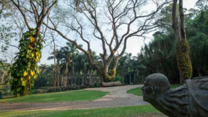 inhotim podcast territorio tamboril