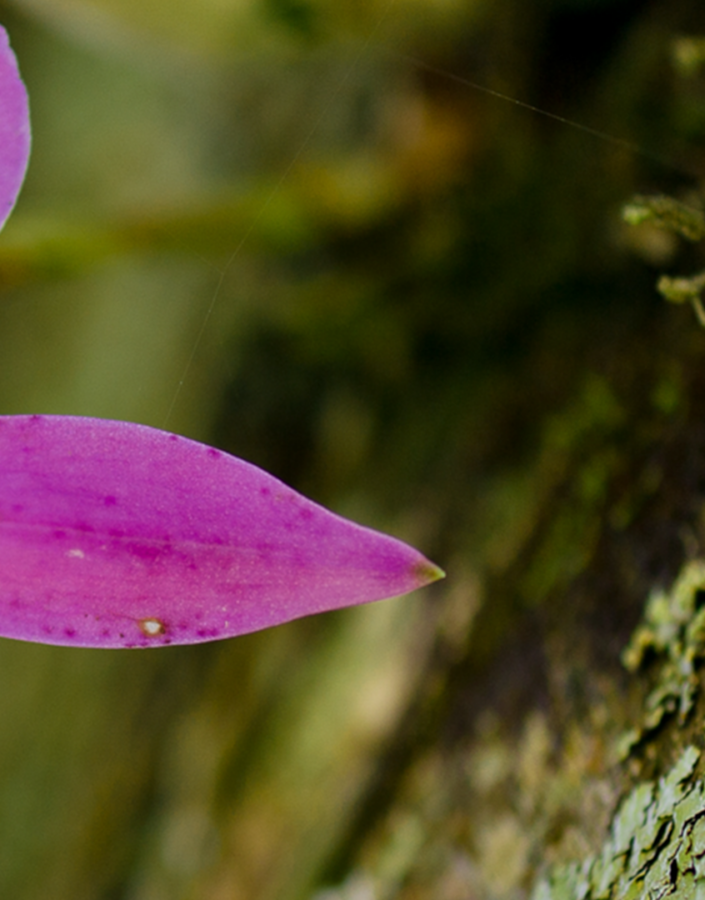 inhotim explore dialogos ep2 andre andre cavasini e juliano borin