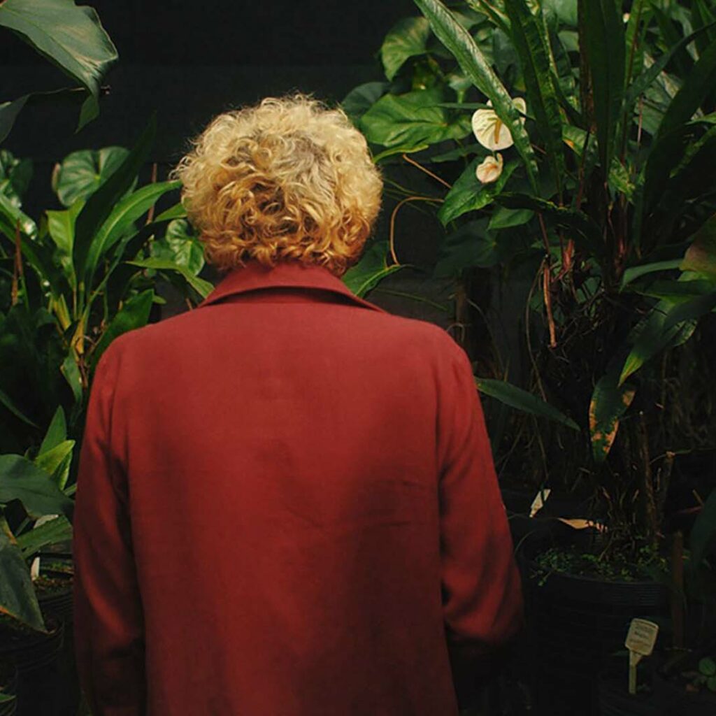 inhotim explore inhotim em cena 2021 otto show