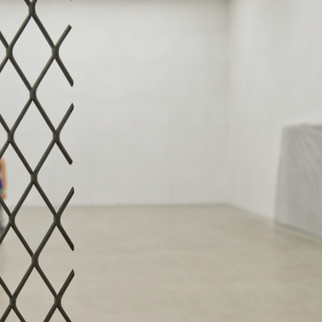 inhotim explore retrato ep2 doris salcedo