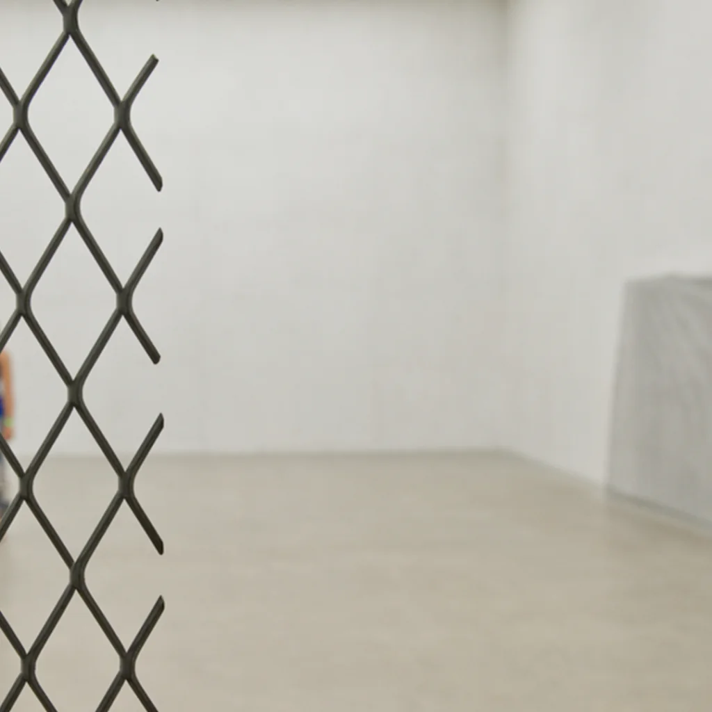 inhotim explore retrato ep2 doris salcedo