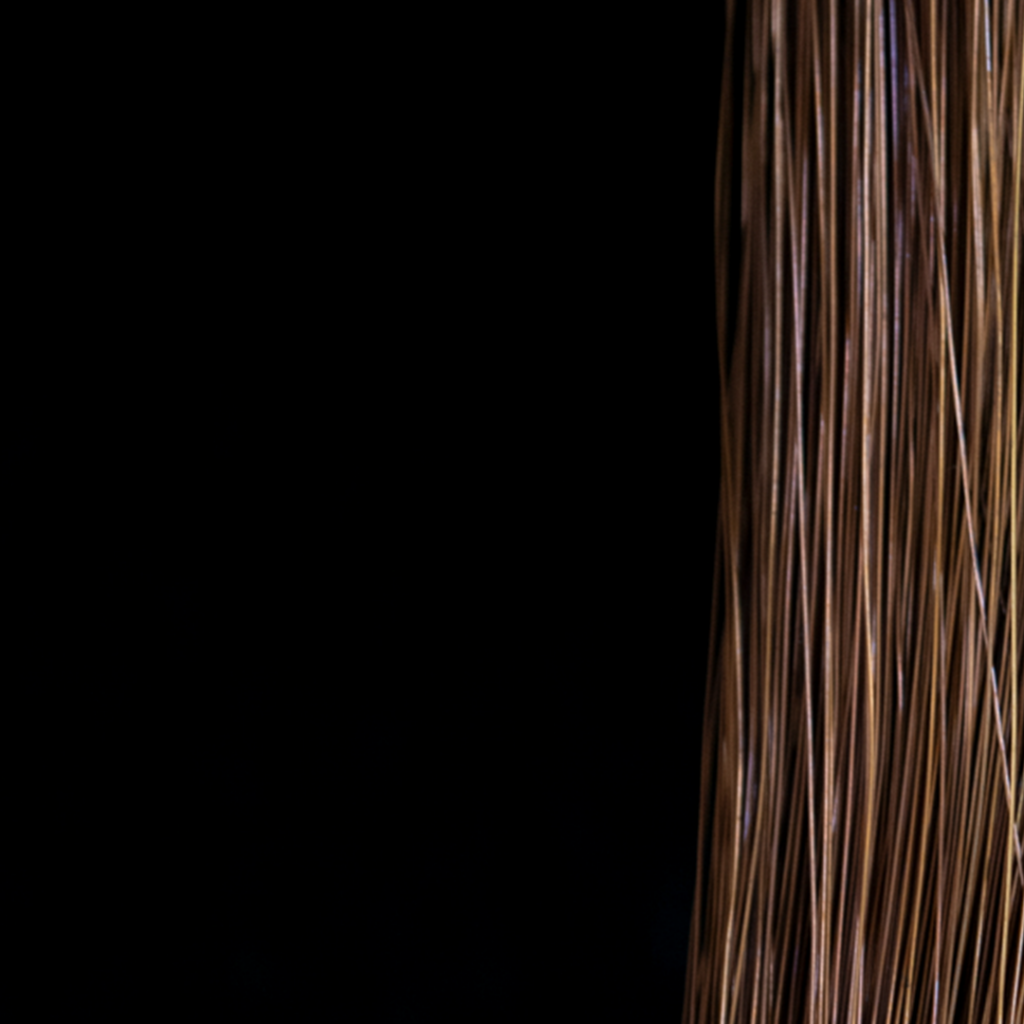 inhotim explore retrato ep4 tunga