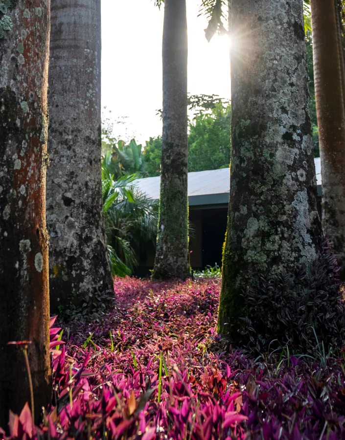 Uma programação especial espera sua visita por aqui neste mês. Foto: Brendon Campos