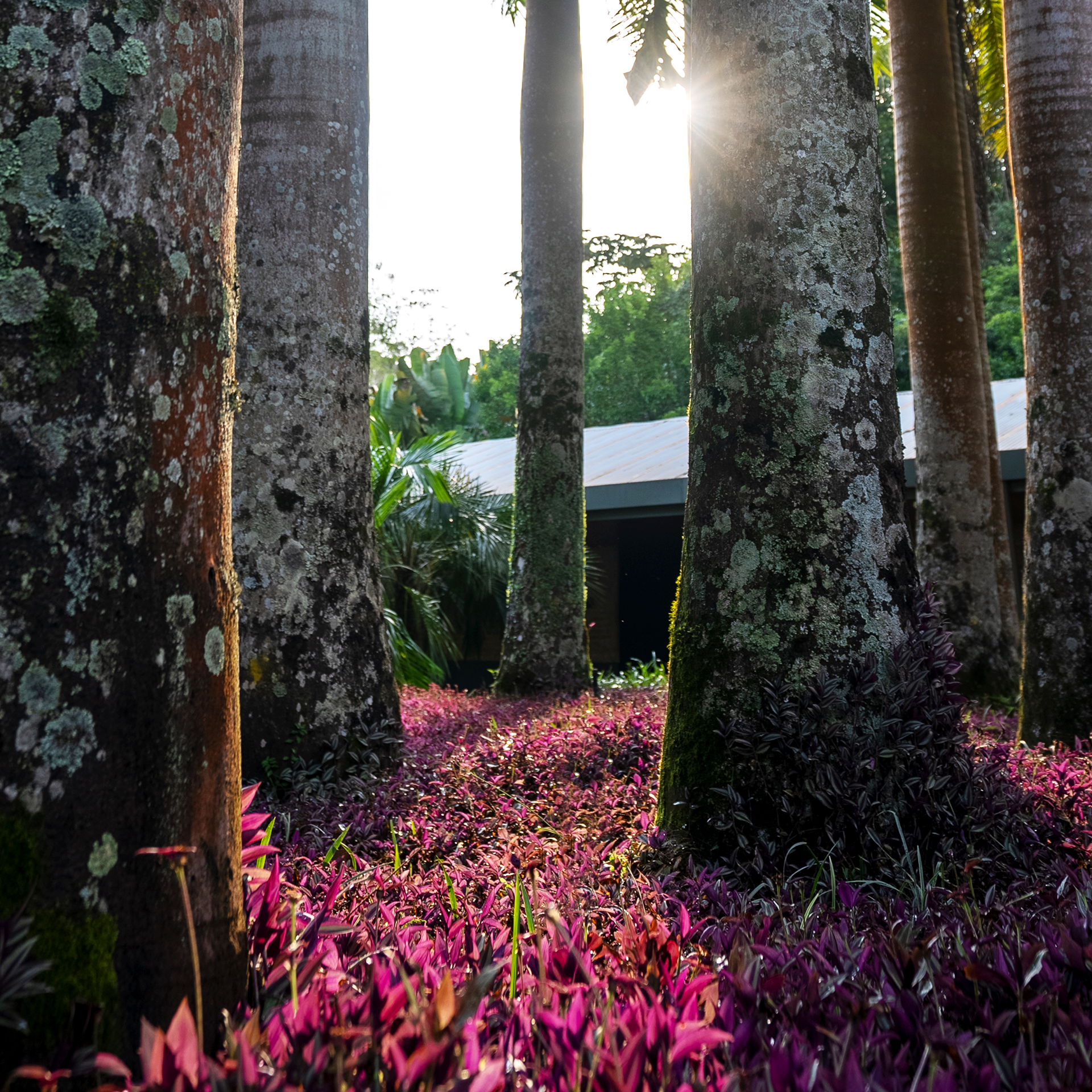 Uma programação especial espera sua visita por aqui neste mês. Foto: Brendon Campos