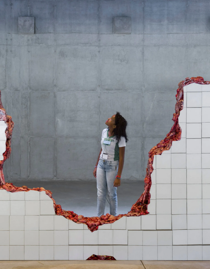The visits will approach some works by women artists on view at Inhotim. Foto: William Gomes
