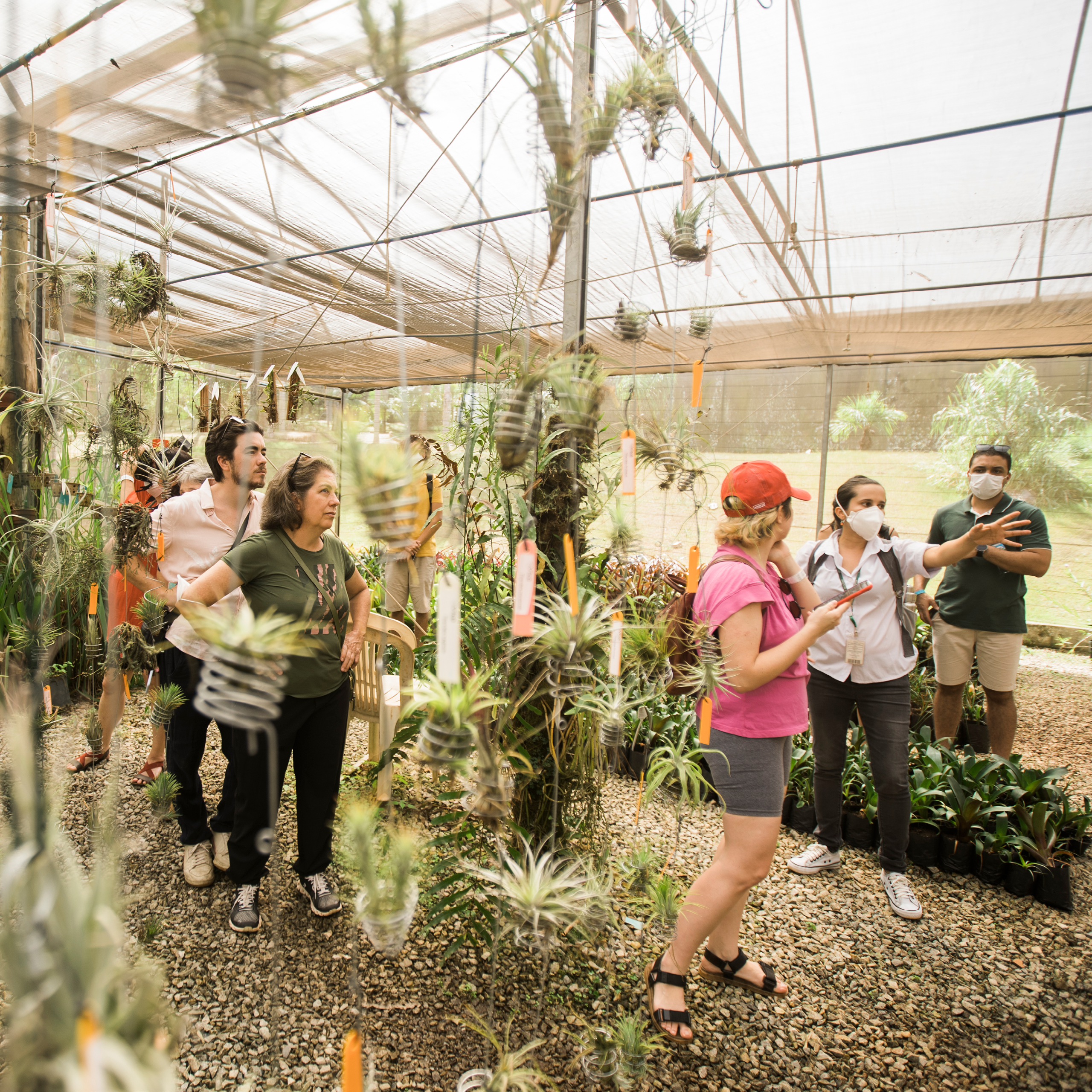 Para marcar o Dia do Meio Ambiente, o Inhotim oferece uma programação gratuita, aberta ao público de todas as idades. 