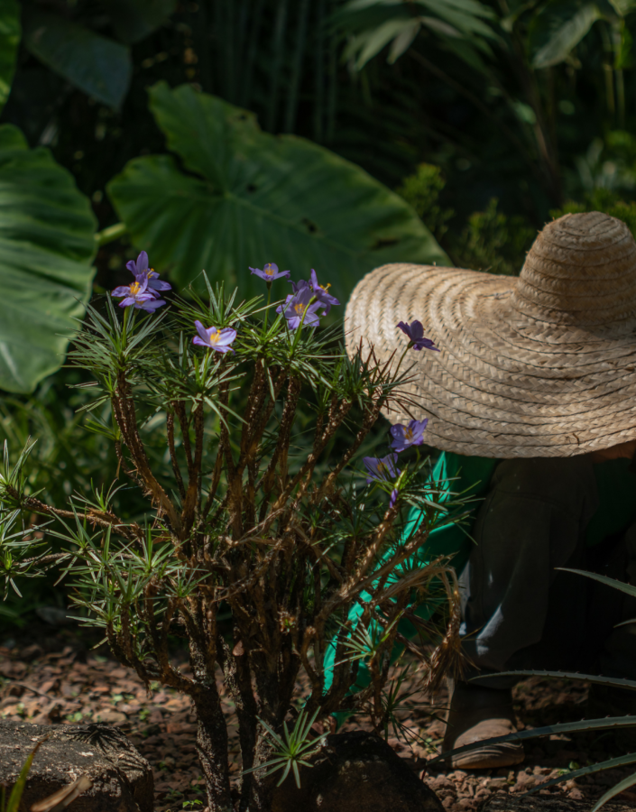 Entre as atividades, estão programadas três oficinas educativas abertas ao público de todas as idades.  
