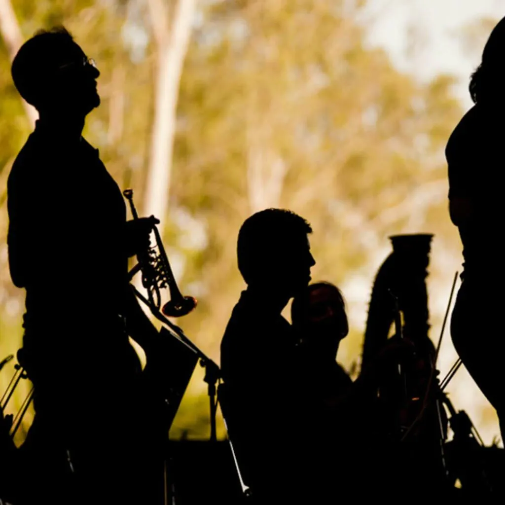 inhotim explore inhotim em cena 2013 orquestra camara inhotim