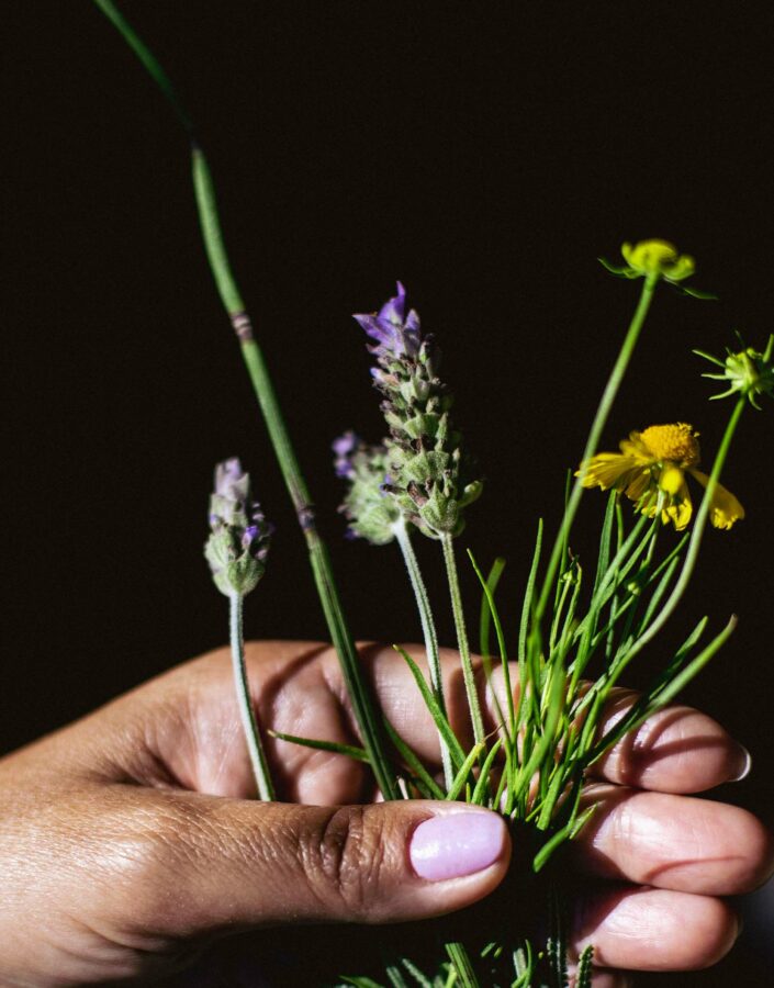 inhotim-jardim-sentidos-lavanda-alecrim-visita-mediada-foto-Bruno-Figueiredo 2