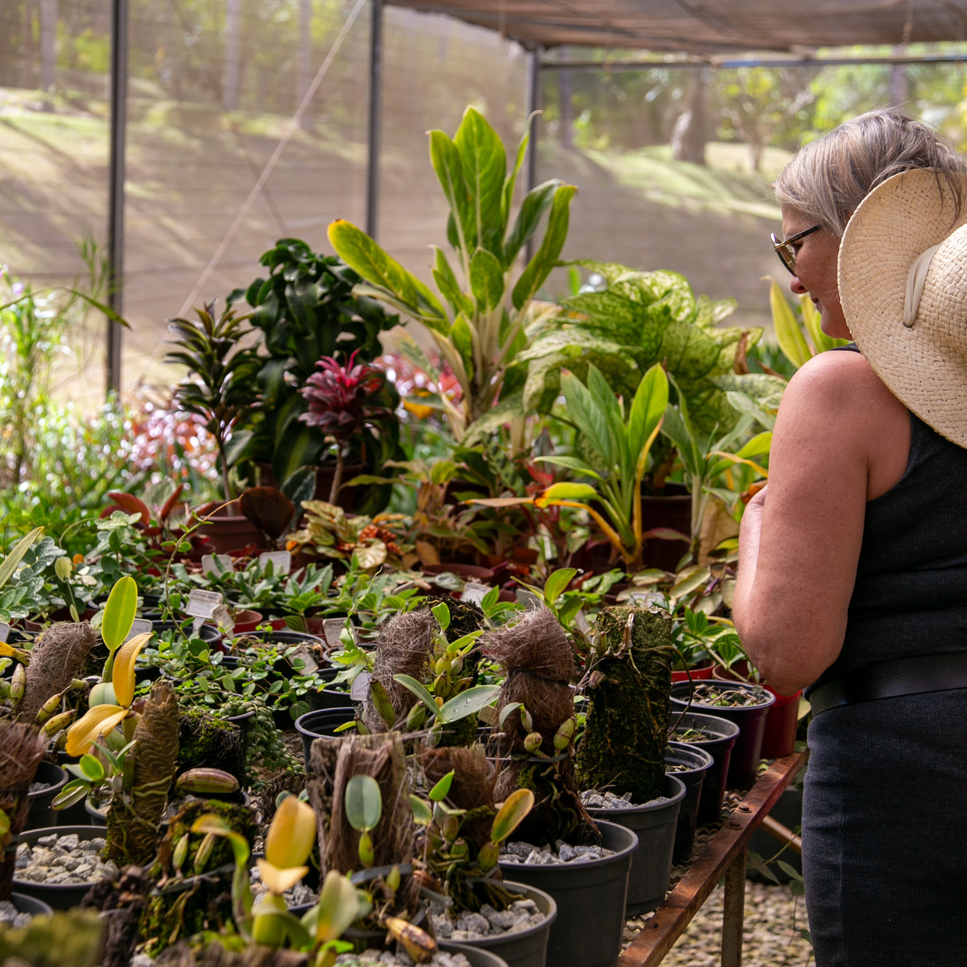 The Semana do Cerrado is an opportunity to learn more about this biome and understand how we can conserve it. Photo: GlenioCampregher/Área de Serviço