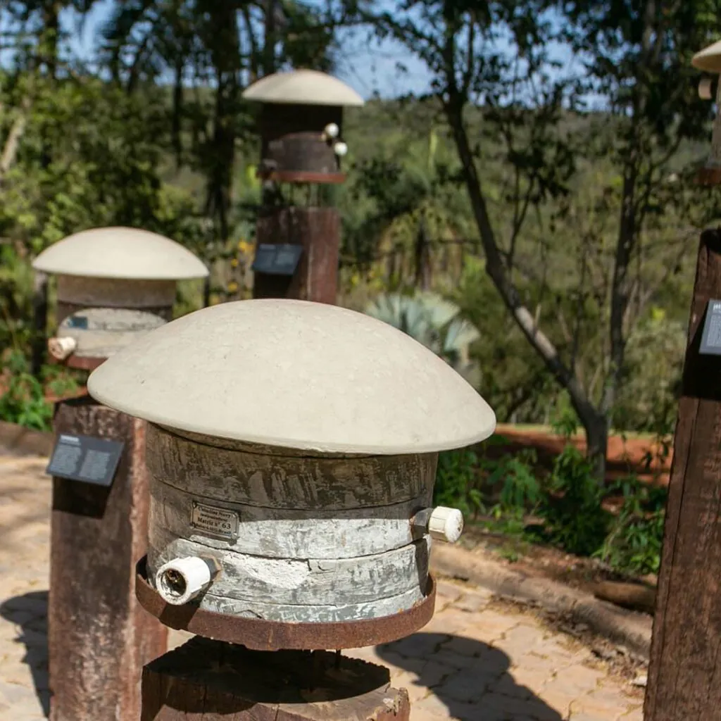 meliponario inhotim acervo2