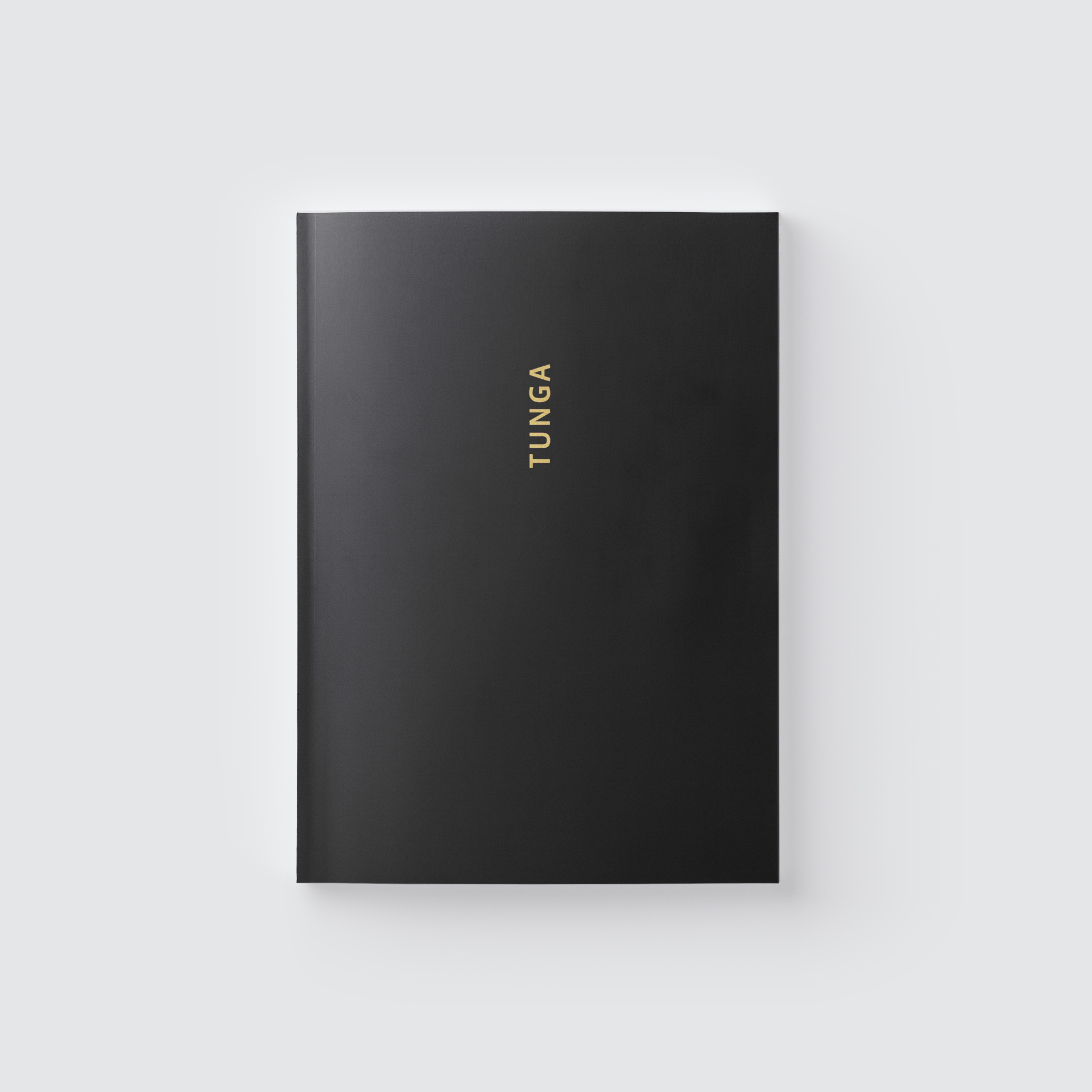 inhotim publicacoes capa Narrativas Tunga