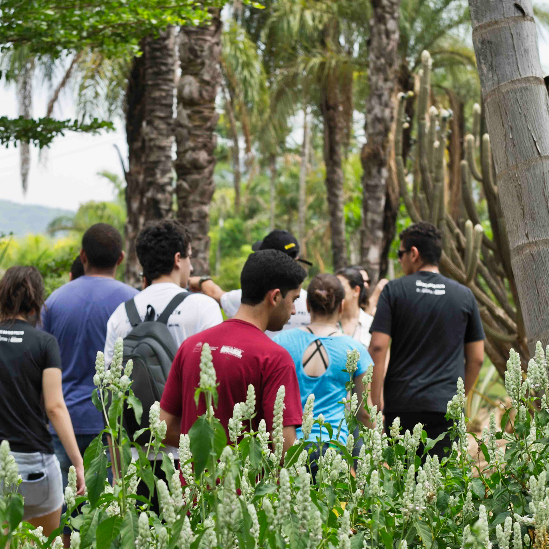  Atividade educativa propõe a ideia de fazer um retrato falado de espécies botânicas presentes no parque. Foto William Gomes
