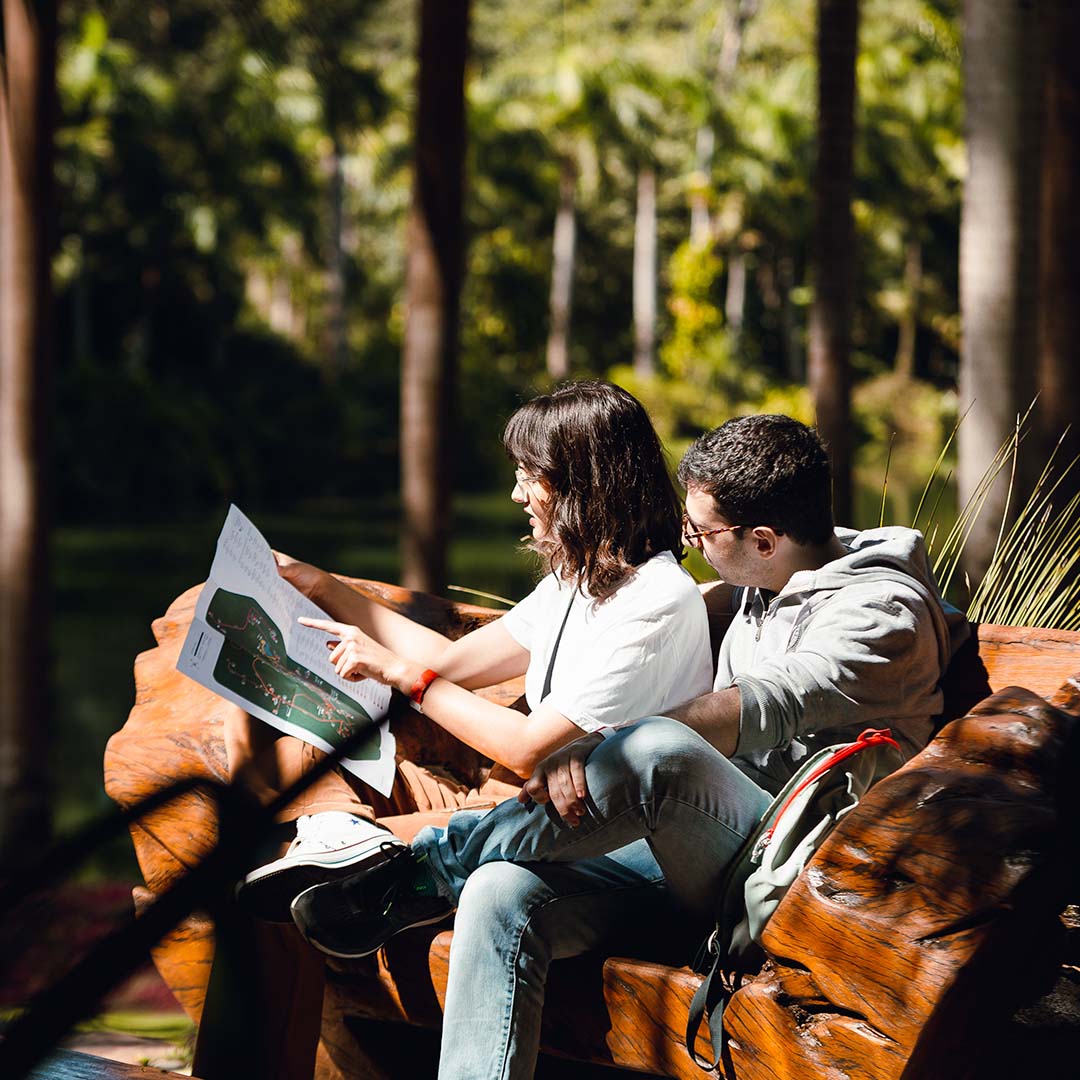  Programação no Inhotim: programação de férias, quartas gratuitas, mais dias abertos e nova Galeria Yayoi Kusama. Foto de Carolina Evangelista