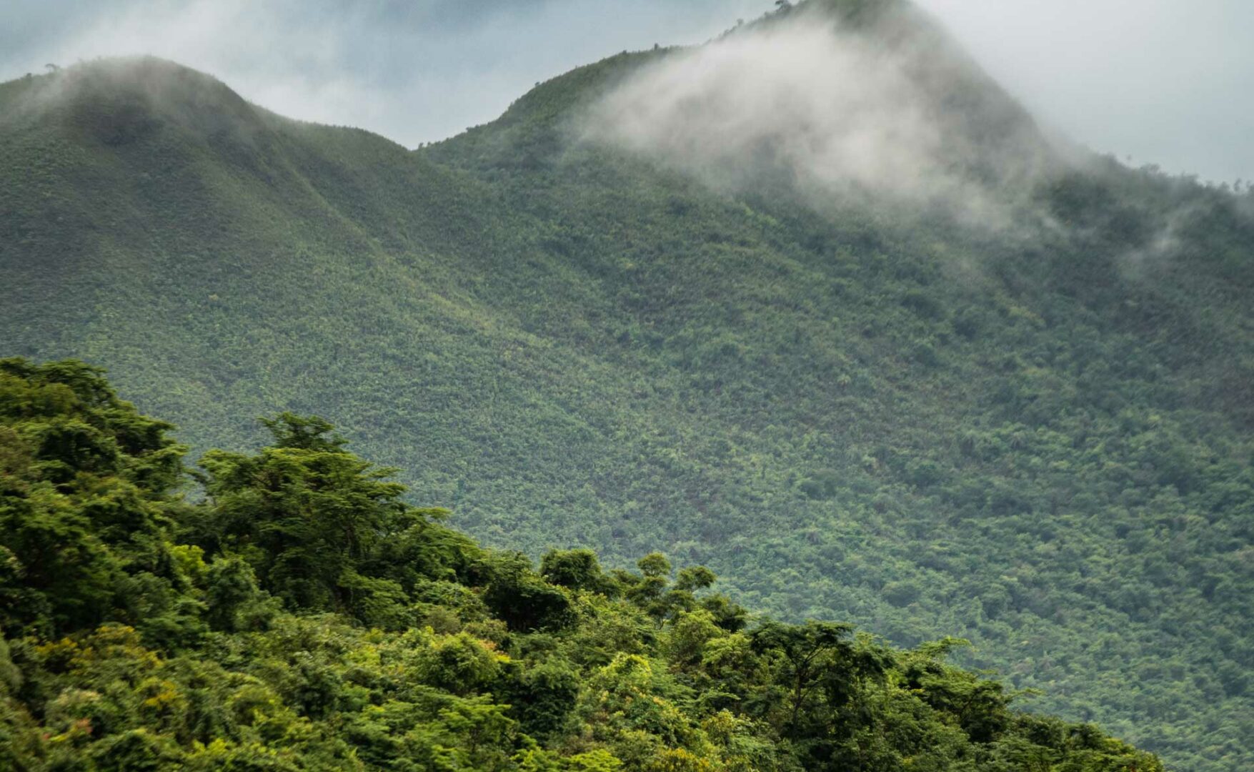 inhotim visite brumadinho ceu de montanhas bruno figueiredo