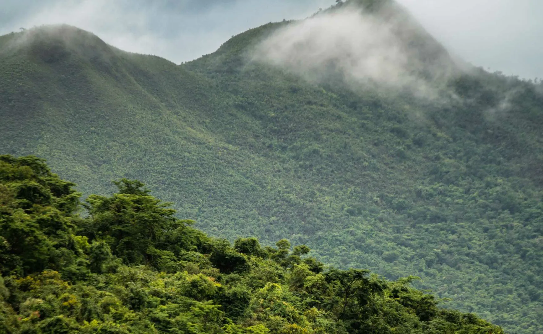 inhotim visite brumadinho ceu de montanhas bruno figueiredo