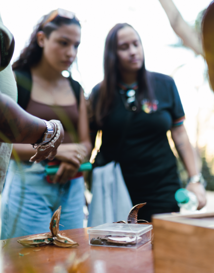 Atividade parte de arte e botânica para questionar as transformações diante do mundo. Foto: Carolina Evangelista