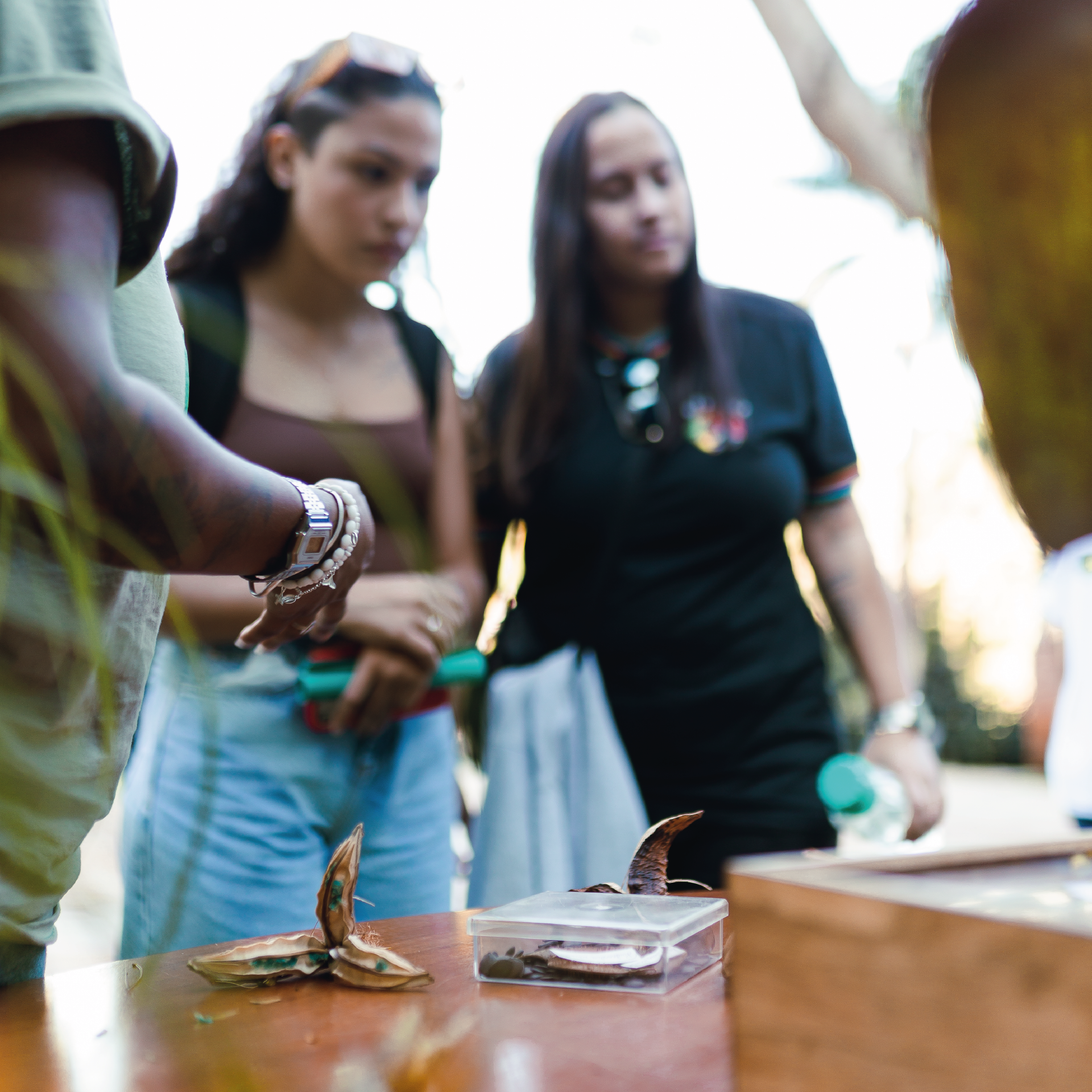 Atividade parte de arte e botânica para questionar as transformações diante do mundo. Foto: Carolina Evangelista