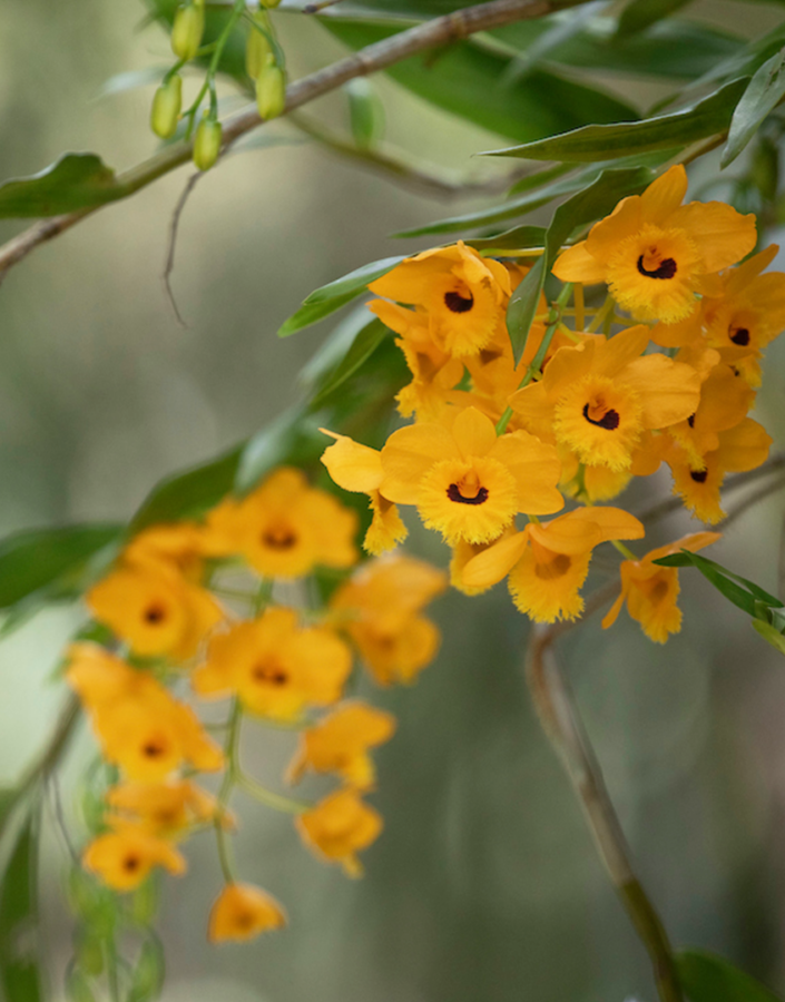 [DES23]Home Programacao Setembro Capa NV