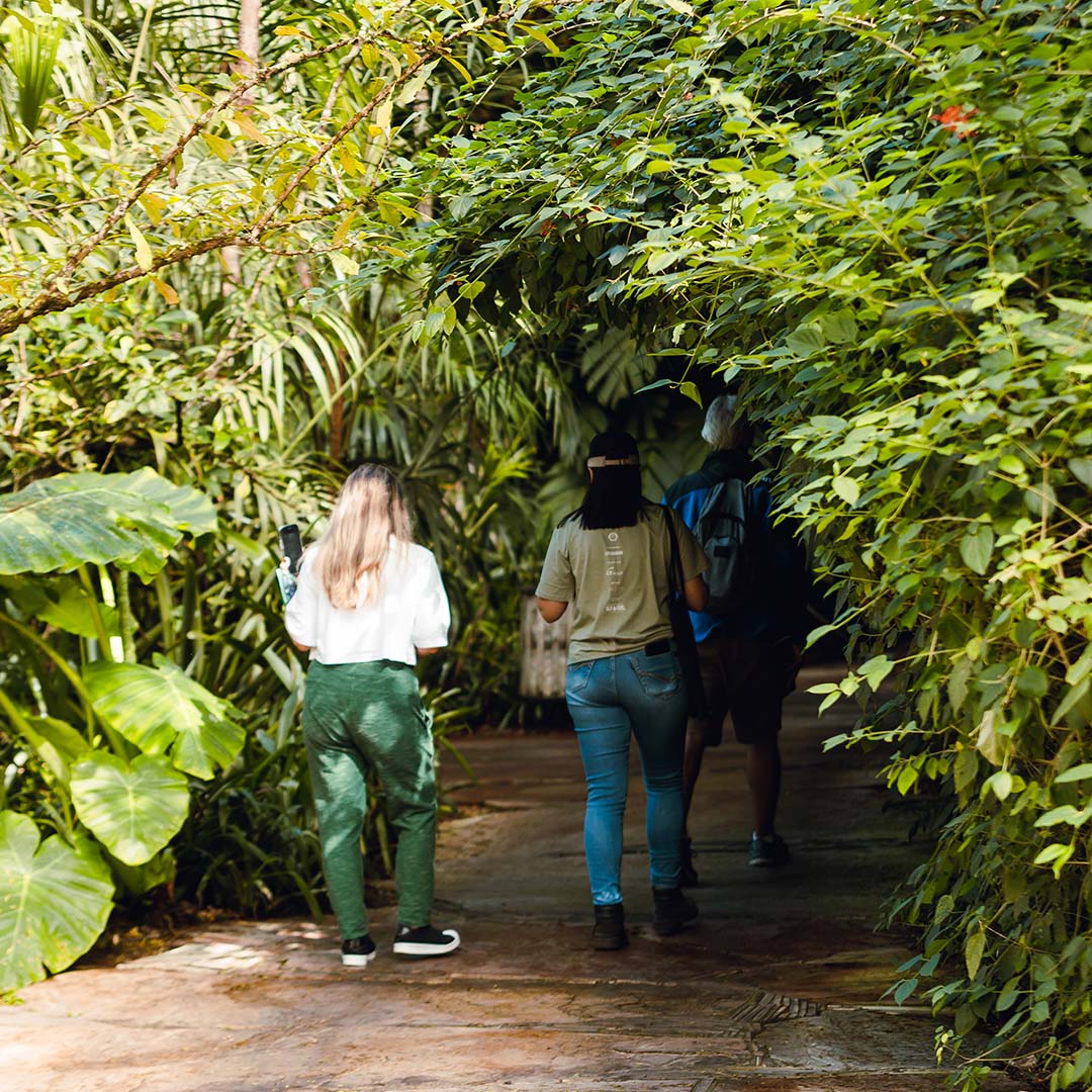 Semana de Ciência e Tecnologia faz parte da programação especial do Transmutar: Programa de Investigações Botânicas do Jardim Botânico Inhotim.Foto: Carolina Evangelista