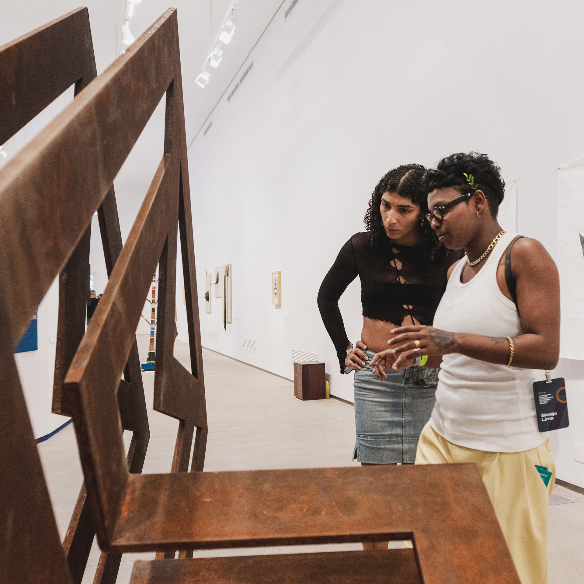 Saiba mais sobre esculturas a partir do acervo do Inhotim. Foto: Daniela Paoliello