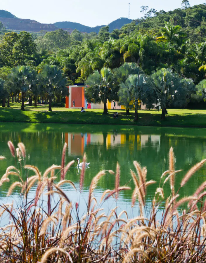 O Inhotim estará aberto em todos os dias de carnaval. Conheça as exposições em cartaz e planeje a sua visita. Foto: Júlia Lanari