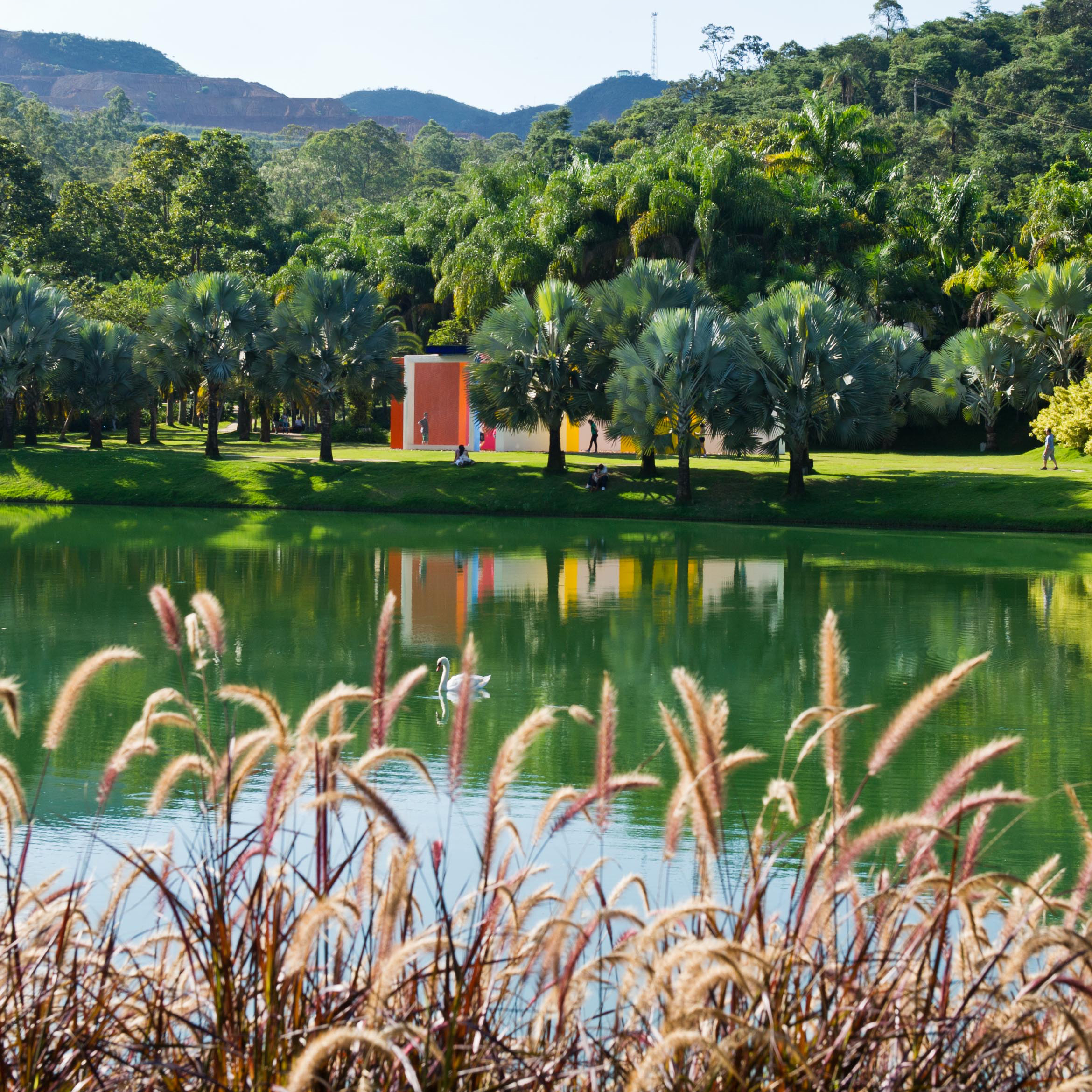O Inhotim estará aberto em todos os dias de carnaval. Conheça as exposições em cartaz e planeje a sua visita. Foto: Júlia Lanari