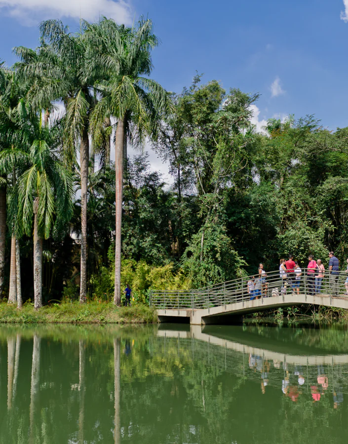 Em março, Inhotim abre as portas de quarta-feira a domingo. Programe sua visita. Foto: William Gomes