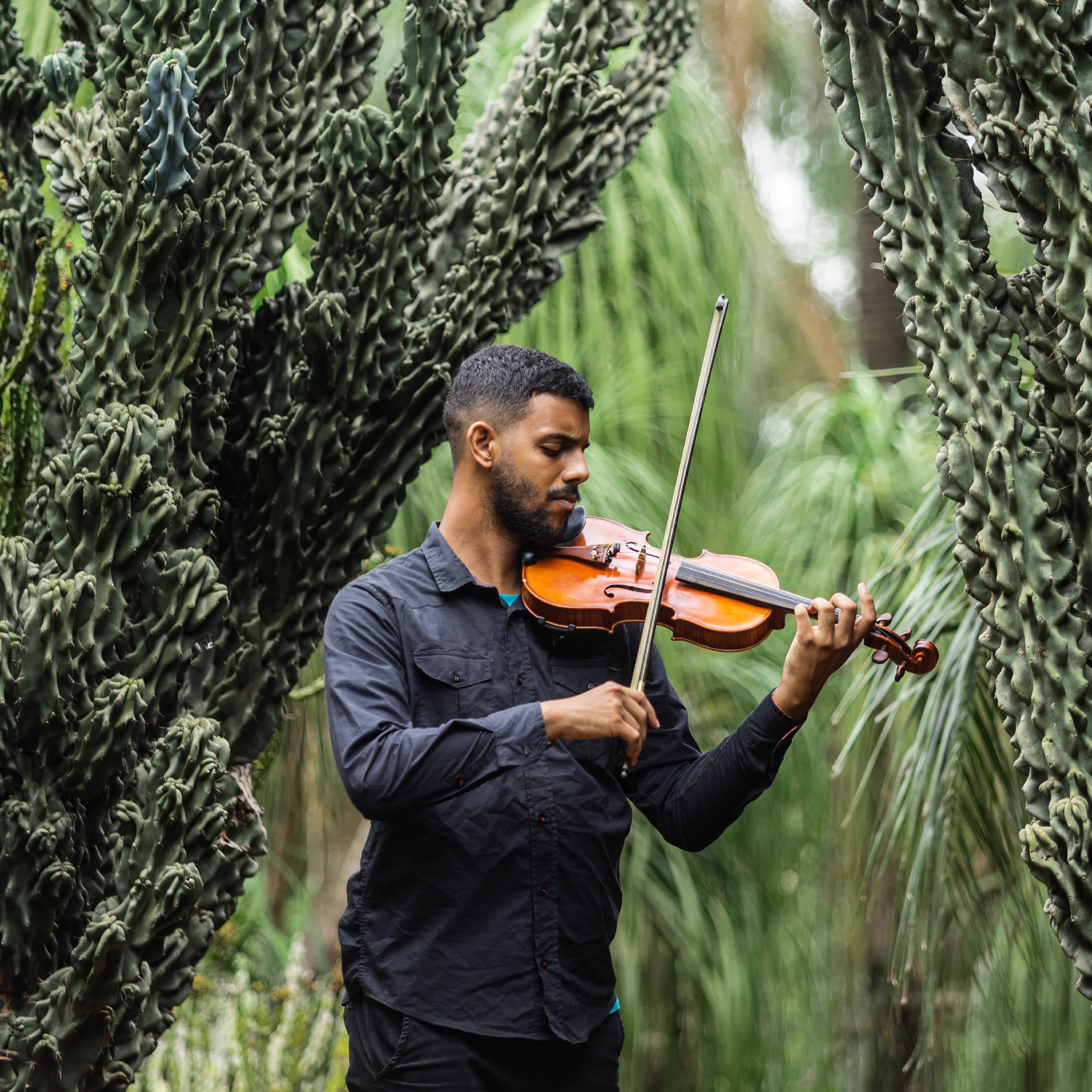 [DES24 Site] rotas home