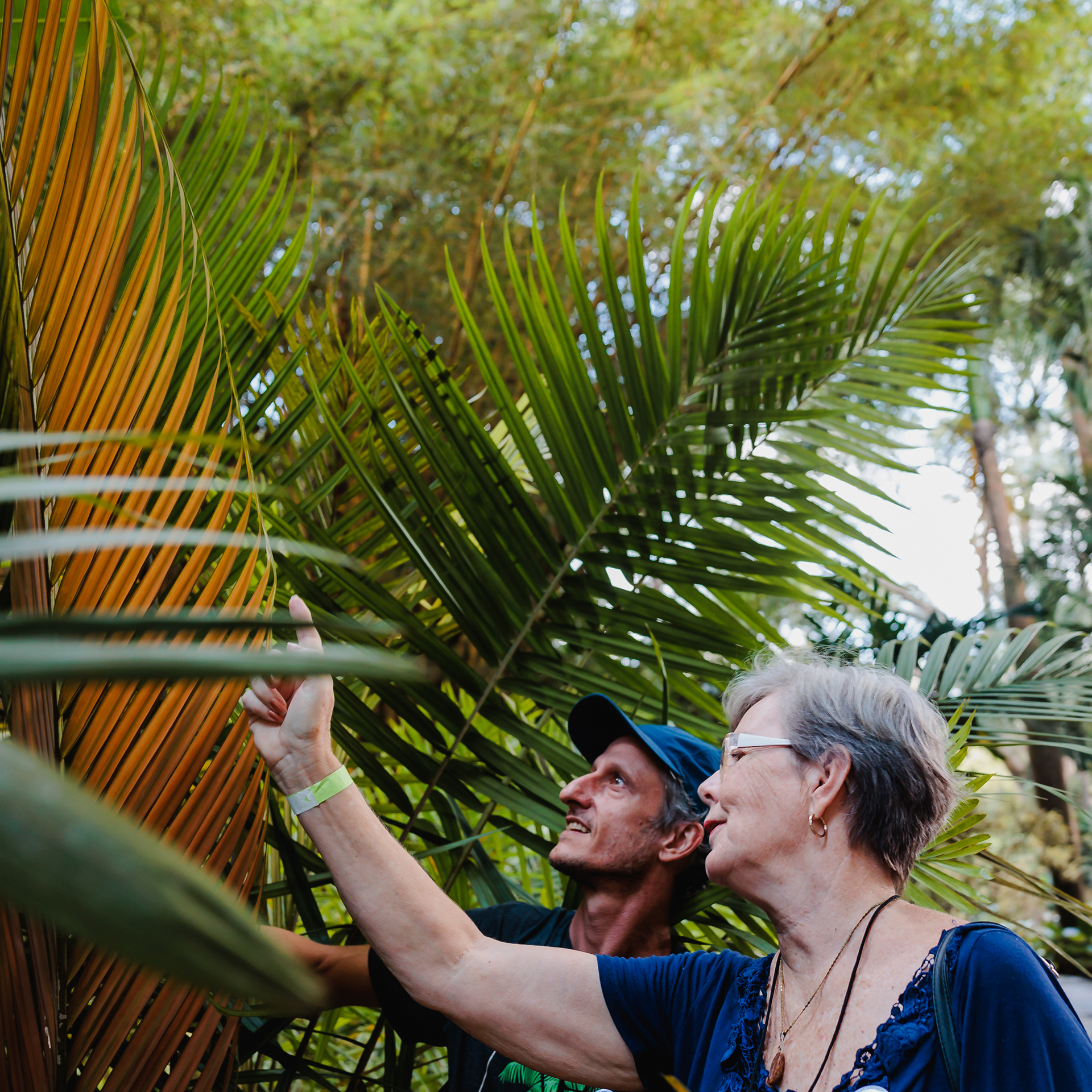 Em abril, Inhotim abre as portas com novas exposições e programação musical. Retire seu ingresso. Foto: Julia Lanari