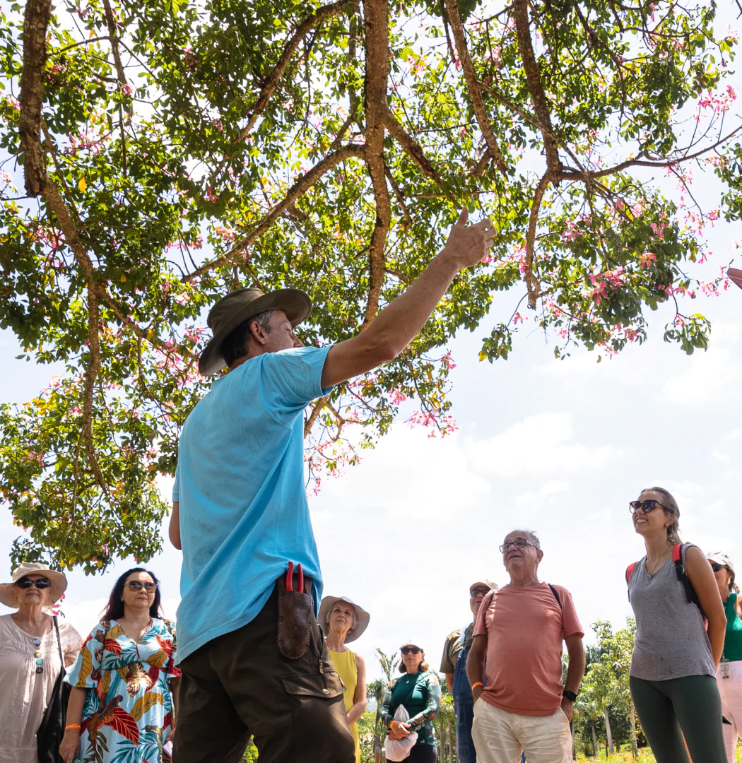  Em abril, Inhotim abre as portas com novas exposições e programação musical. Retire seu ingresso. Foto: Brendon Campos
