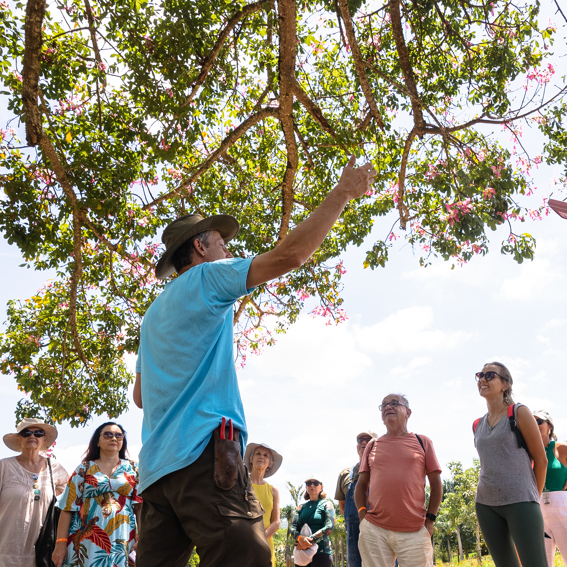  Em abril, Inhotim abre as portas com novas exposições e programação musical. Retire seu ingresso. Foto: Brendon Campos