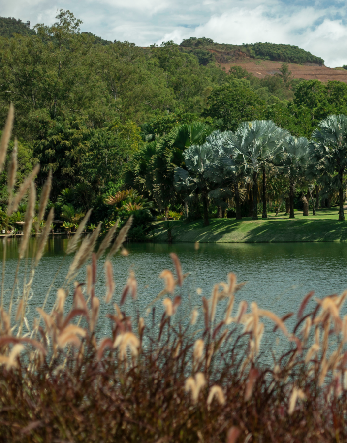 Série de eventos promove o encontro das múltiplas perspectivas de natureza. Foto: João Marcos Rosa