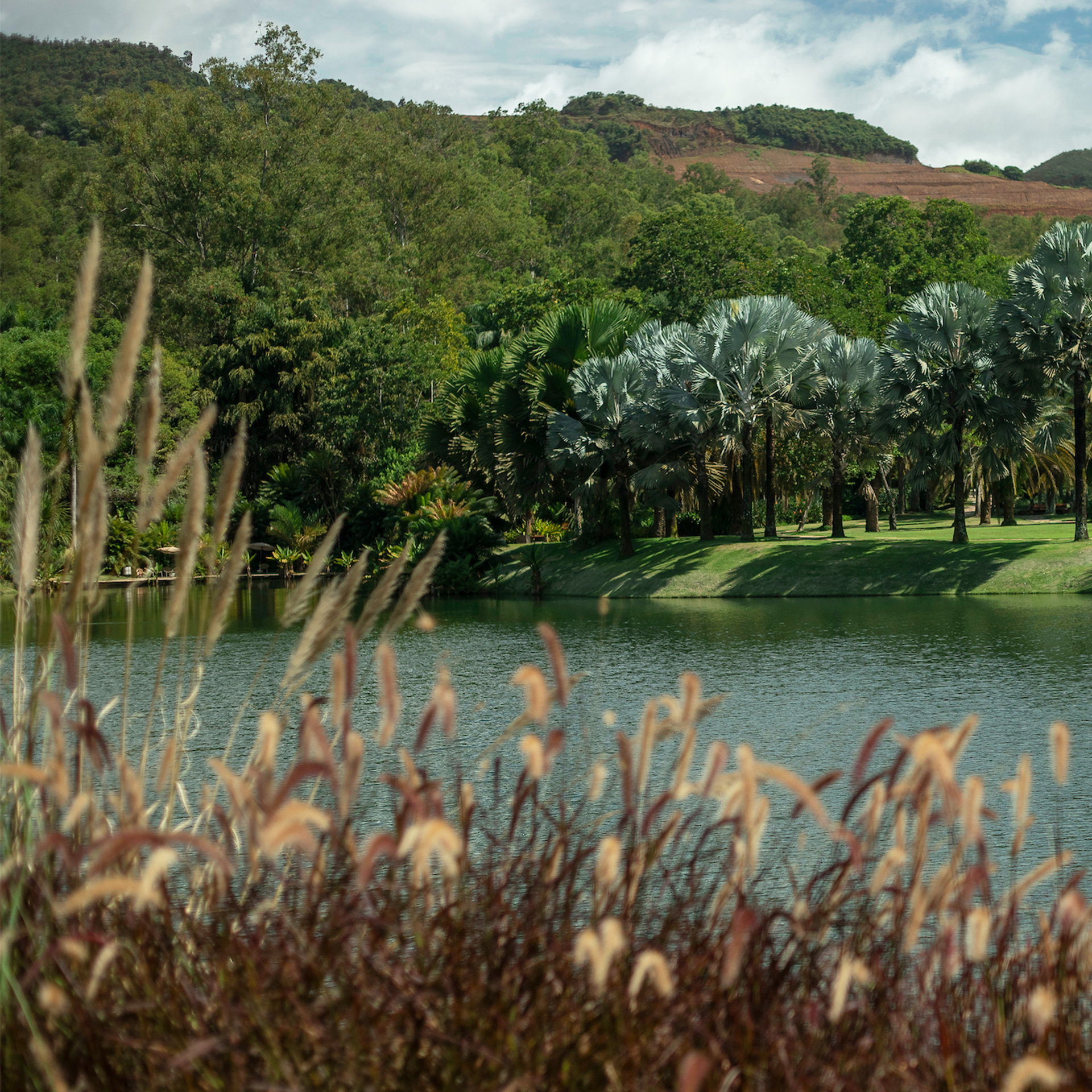 Série de eventos promove o encontro das múltiplas perspectivas de natureza. Foto: João Marcos Rosa