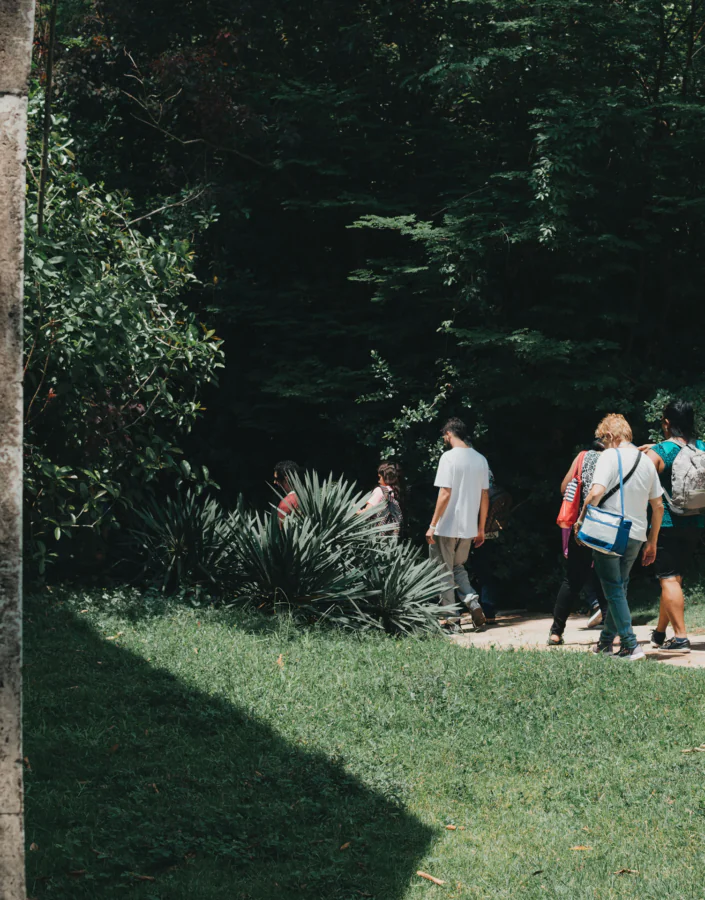 Programa propõe dia de visitação, lazer e vivências com os acervos artísticos e botânicos do Inhotim. Foto: William Gomes 