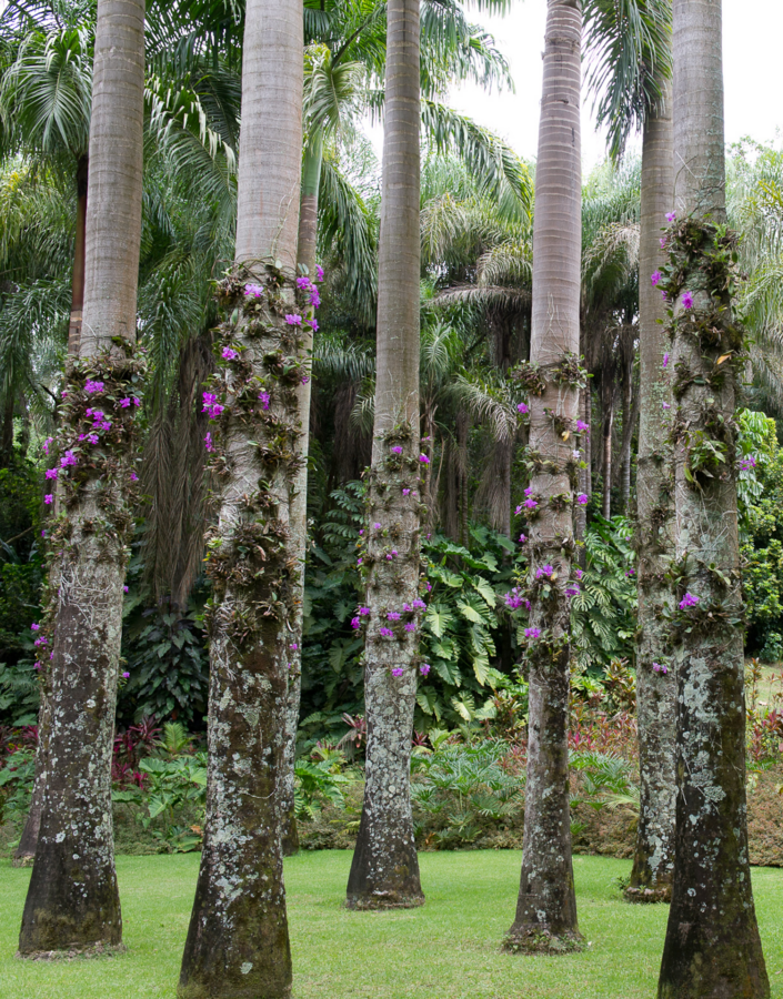 Conversas, encontros e visitas marcam a programação do Inhotim na Semana Nacional de Museus 2024. Foto: William Gomes