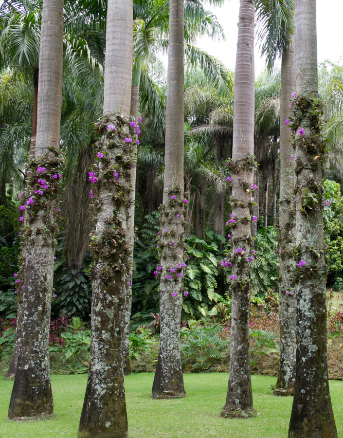  Conversas, encontros e visitas marcam a programação do Inhotim na Semana Nacional de Museus 2024. Foto: William Gomes