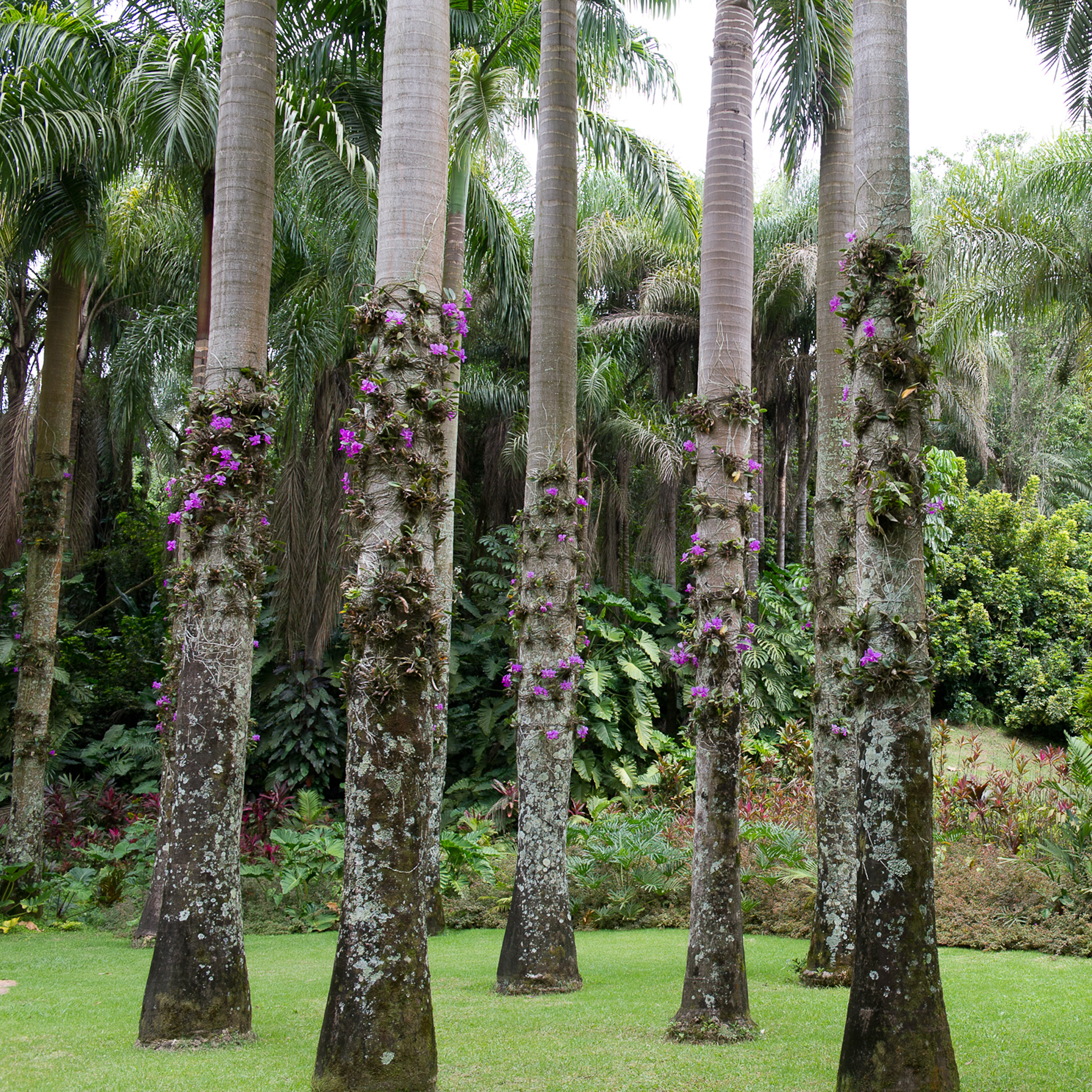  Conversas, encontros e visitas marcam a programação do Inhotim na Semana Nacional de Museus 2024. Foto: William Gomes