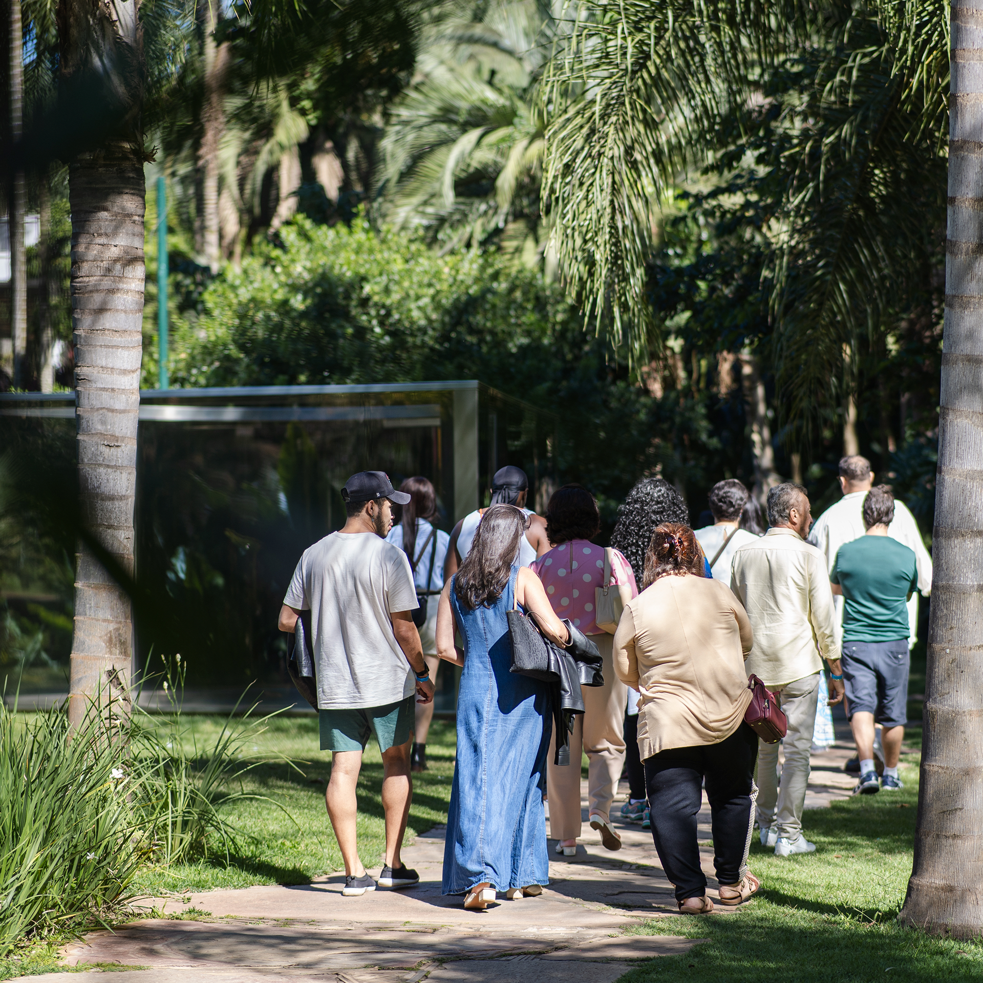 Uma visita para redescobrir o Inhotim junto com um dos guias mais experientes do local, Junio César. Foto: Brendon Campos
