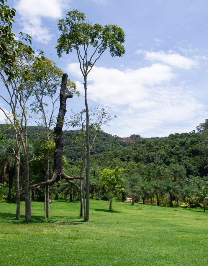 Máximo Soalheiro apresenta instalação-concerto concebida a partir mais de 20 anos de pesquisa. Foto: Ana Clara Martins